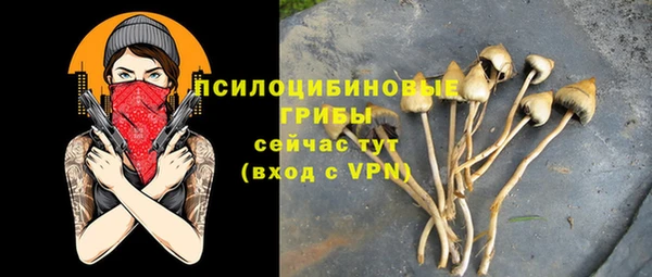 соль ск Аркадак