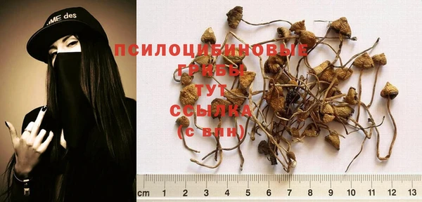 соль ск Аркадак