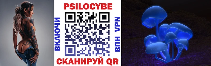 даркнет сайт  OMG ссылки  Псилоцибиновые грибы Magic Shrooms  Новотитаровская 